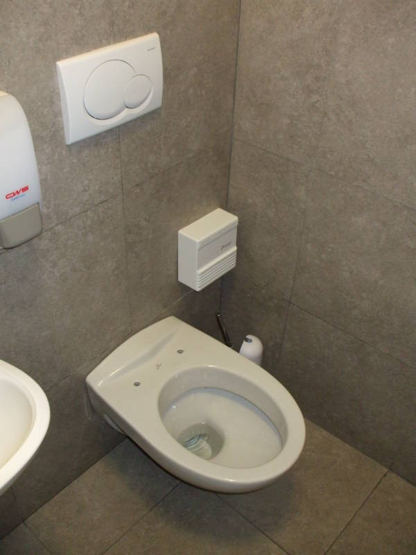 The Mystery of Missing Toilet Seats in France: Sanitary Shortage or Cultural Norm?